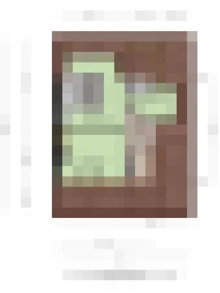 Kruidnagel 2 Den Dungen thumbnail 41