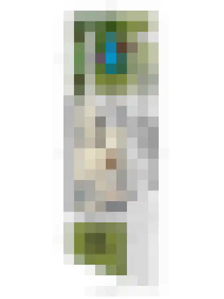 Kruidnagel 2 Den Dungen thumbnail 43