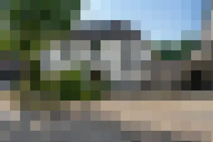 Kruidnagel 2 Den Dungen thumbnail 44