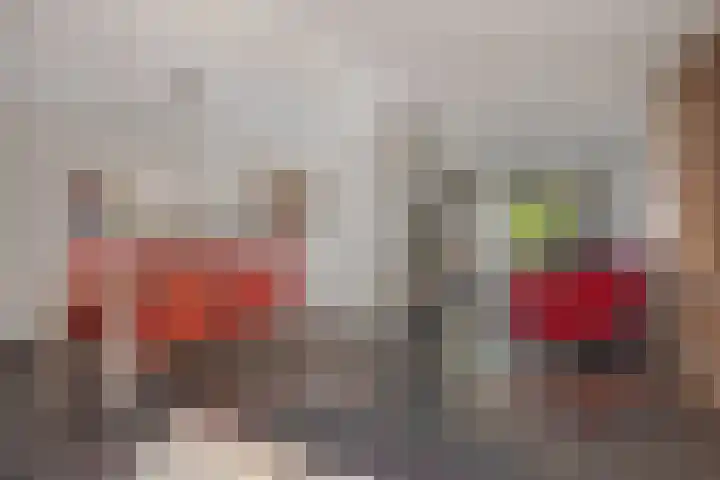 Kruidnagel 2 Den Dungen thumbnail 6