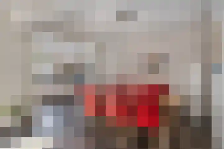 Kruidnagel 2 Den Dungen thumbnail 8