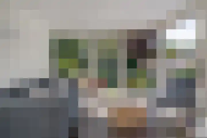 Kruidnagel 2 Den Dungen thumbnail 9