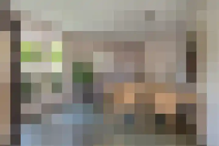 Kruidnagel 28 Den Dungen thumbnail 10