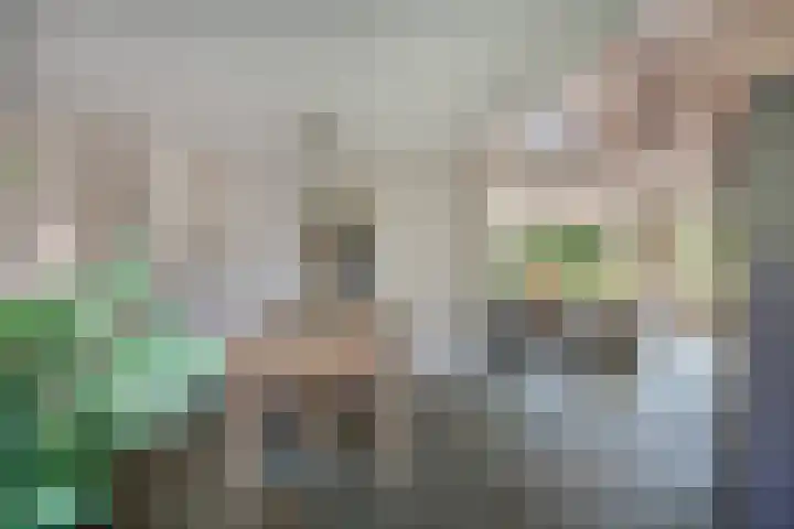 Kruidnagel 28 Den Dungen thumbnail 12