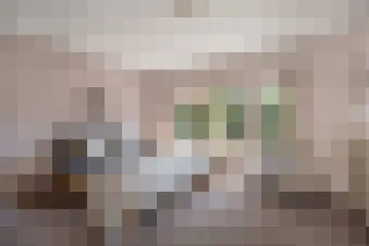 Kruidnagel 28 Den Dungen thumbnail 15