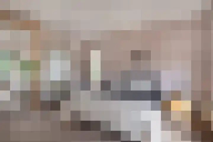 Kruidnagel 28 Den Dungen thumbnail 16