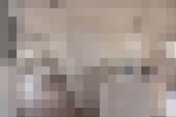 Kruidnagel 28 Den Dungen thumbnail 19