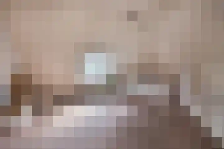 Kruidnagel 28 Den Dungen thumbnail 20