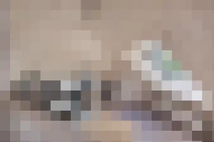 Kruidnagel 28 Den Dungen thumbnail 21