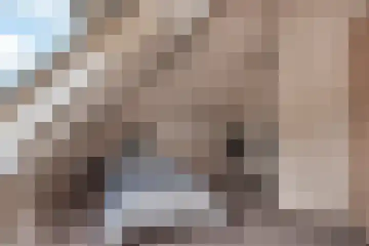 Kruidnagel 28 Den Dungen thumbnail 22