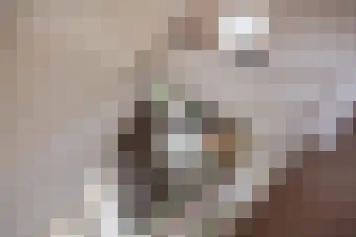Kruidnagel 28 Den Dungen thumbnail 25