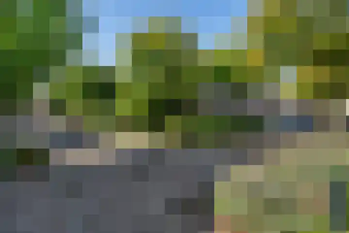 Kruidnagel 28 Den Dungen thumbnail 27