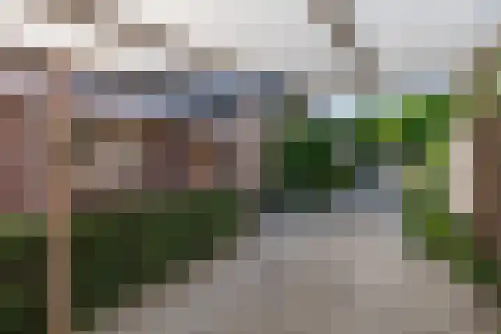 Kruidnagel 28 Den Dungen thumbnail 29