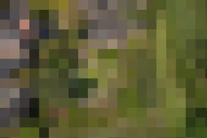 Kruidnagel 28 Den Dungen thumbnail 30