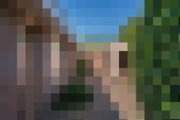 Kruidnagel 28 Den Dungen thumbnail 31