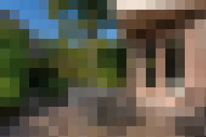 Kruidnagel 28 Den Dungen thumbnail 32