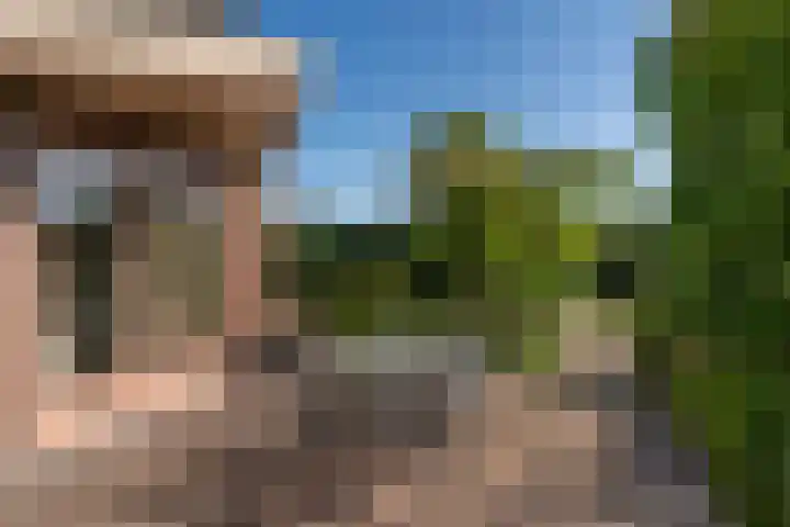 Kruidnagel 28 Den Dungen thumbnail 33