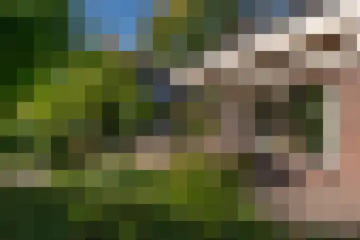 Kruidnagel 28 Den Dungen thumbnail 34