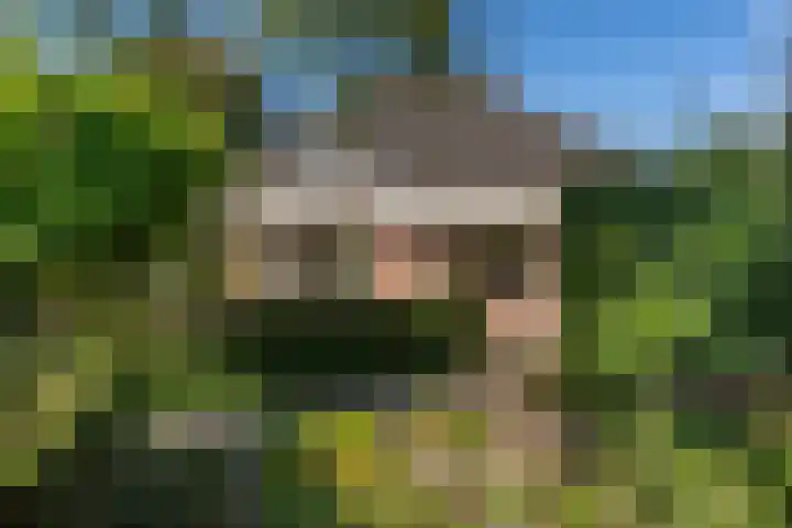 Kruidnagel 28 Den Dungen thumbnail 35
