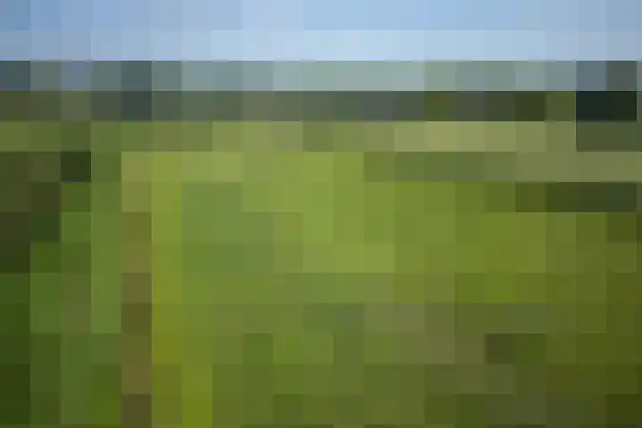 Kruidnagel 28 Den Dungen thumbnail 37