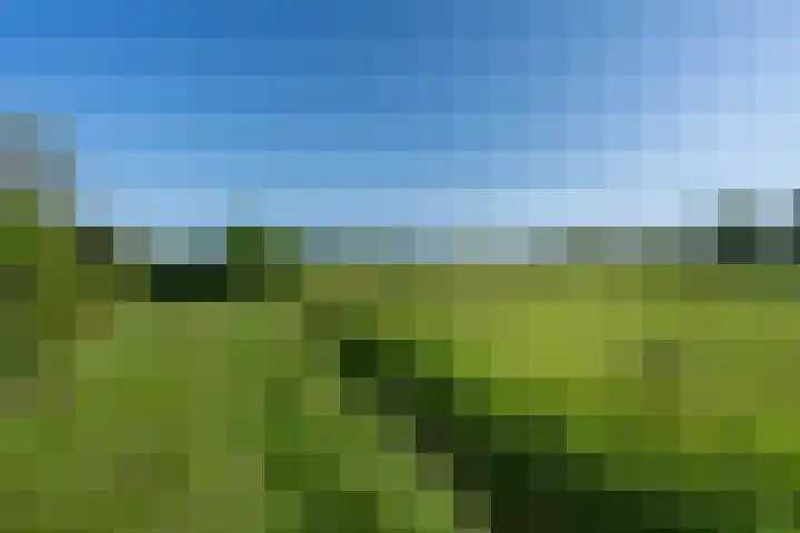 Kruidnagel 28 Den Dungen thumbnail 38