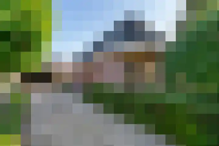 Kruidnagel 28 Den Dungen thumbnail 4