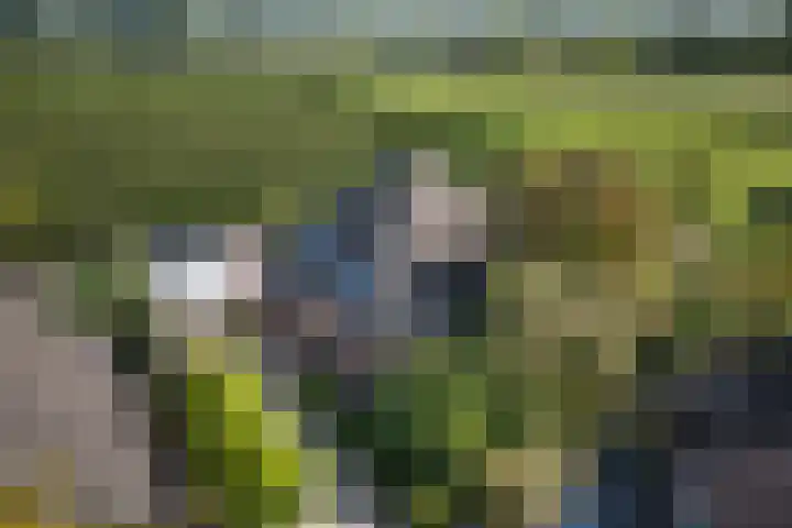 Kruidnagel 28 Den Dungen thumbnail 43