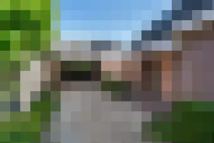 Kruidnagel 28 Den Dungen thumbnail 5