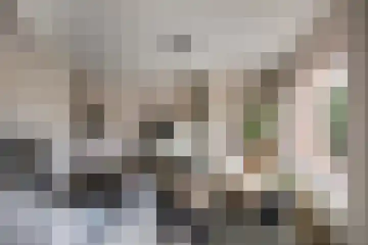 Kruidnagel 28 Den Dungen thumbnail 7