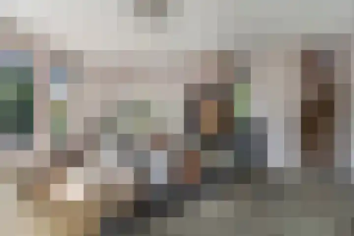 Kruidnagel 28 Den Dungen thumbnail 8