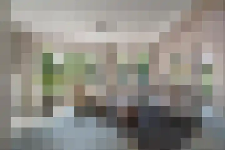 Kruidnagel 28 Den Dungen thumbnail 9