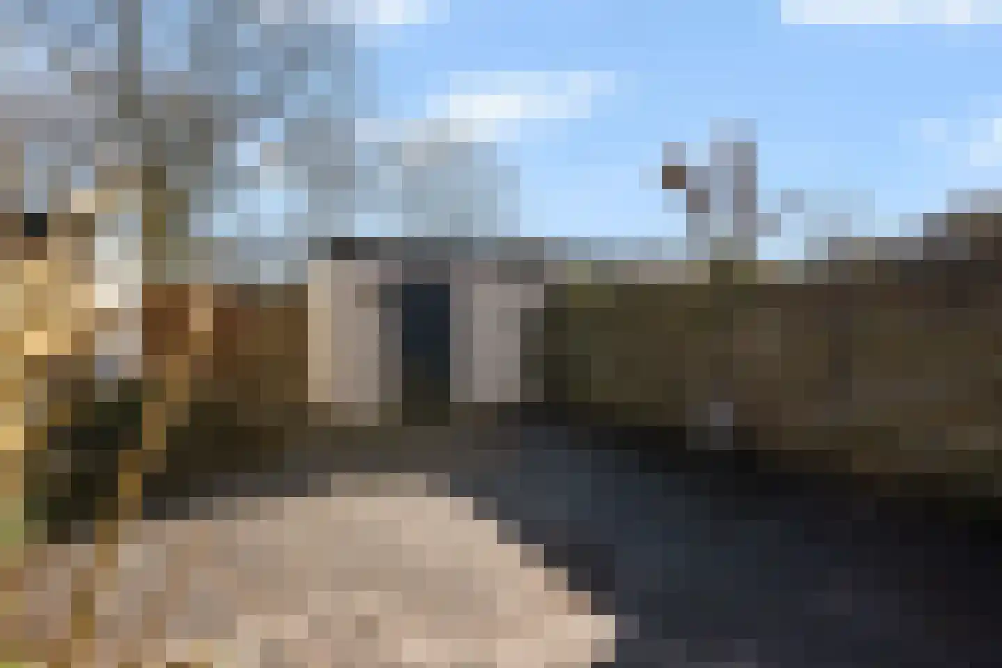 Kruidnagelstraat 14 Almere thumbnail 36