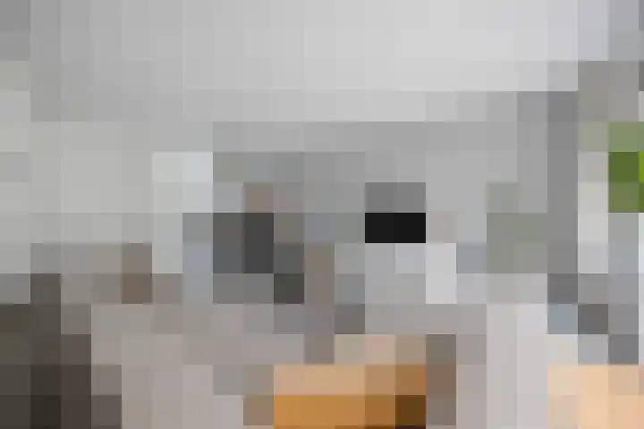 Kruier 19 Druten thumbnail 15