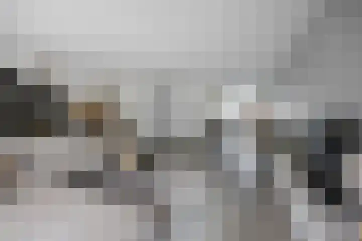 Kruier 19 Druten thumbnail 16