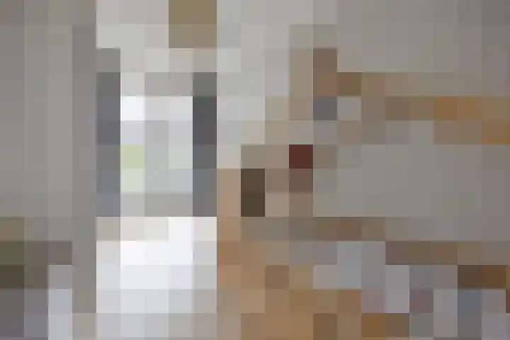 Kruier 19 Druten thumbnail 25