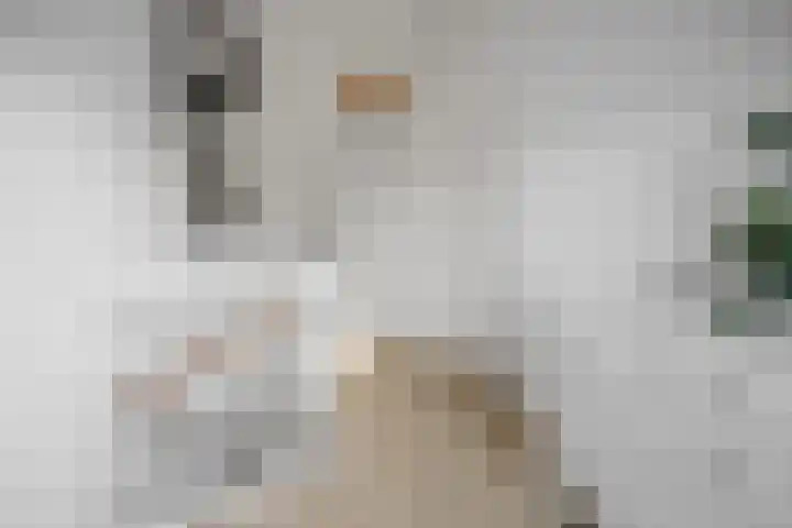 Kruier 19 Druten thumbnail 32