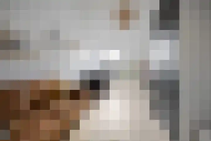 Kruier 19 Druten thumbnail 35