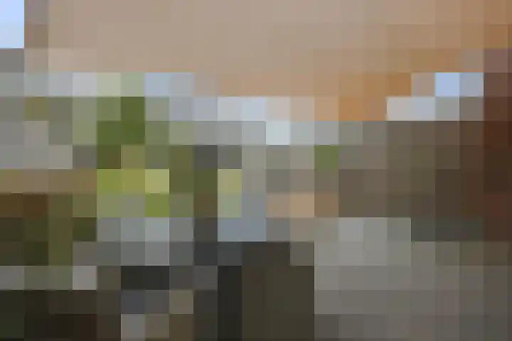 Kruier 19 Druten thumbnail 37