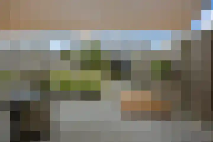 Kruier 19 Druten thumbnail 38