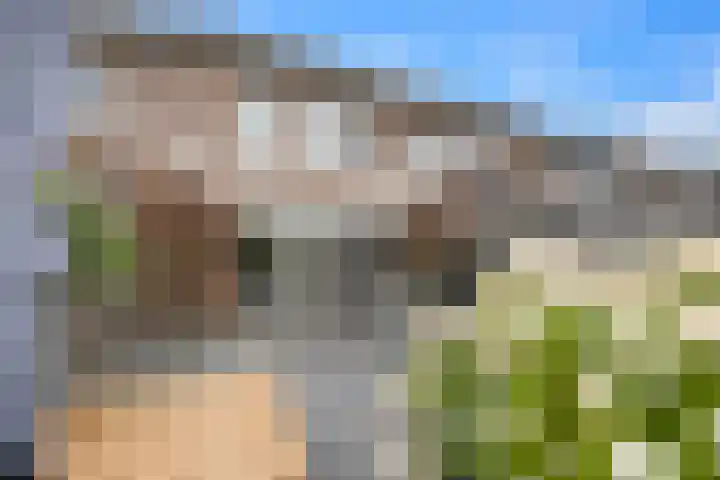 Kruier 19 Druten thumbnail 39