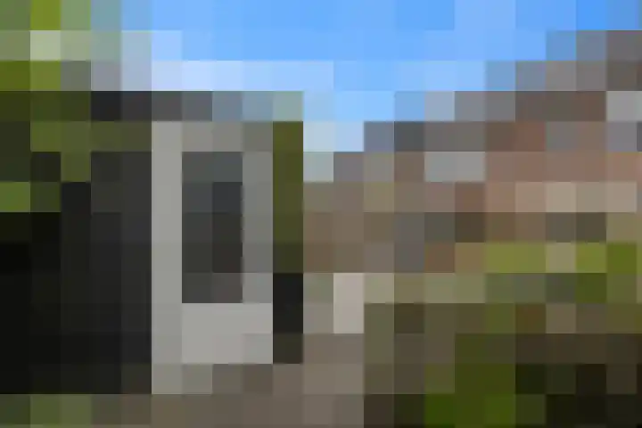 Kruier 19 Druten thumbnail 41