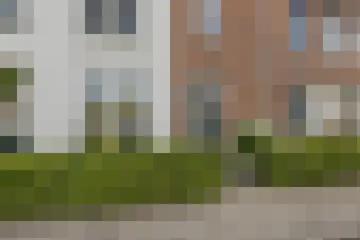 Kruier 19 Druten thumbnail 42