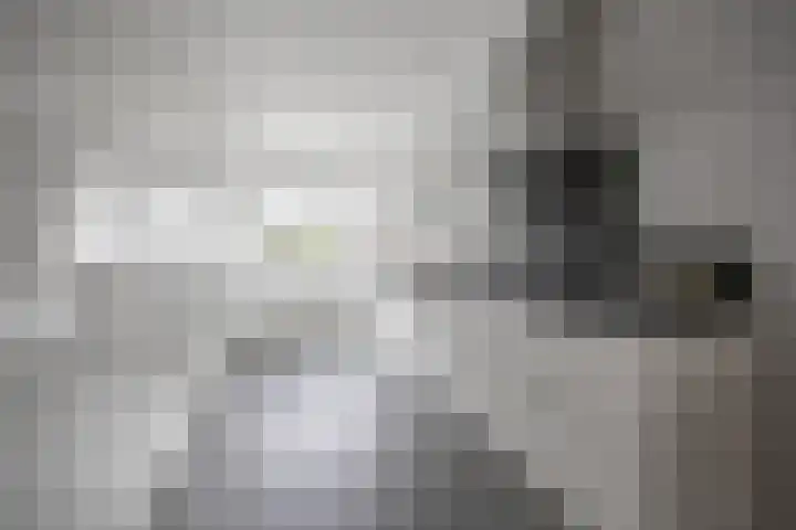 Kruier 19 Druten thumbnail 6