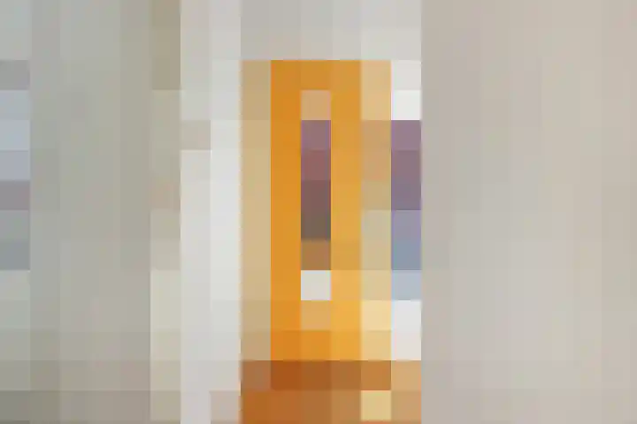Kruier 36 Assendelft thumbnail 13