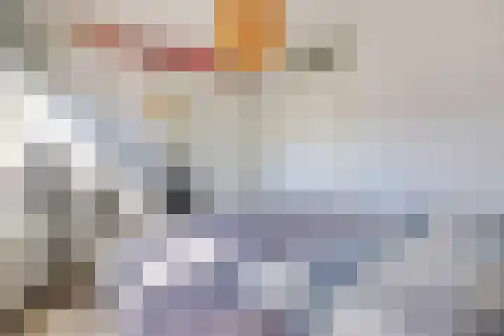 Kruier 36 Assendelft thumbnail 17