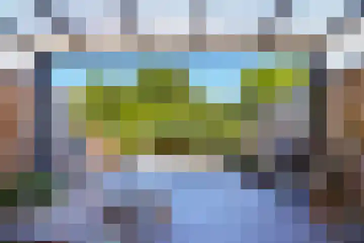 Kruier 36 Assendelft thumbnail 21