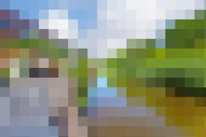 Kruier 36 Assendelft thumbnail 23