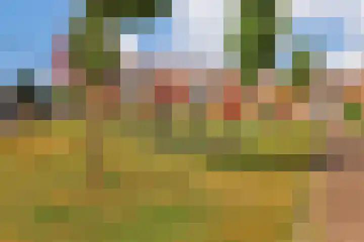 Kruier 36 Assendelft thumbnail 25