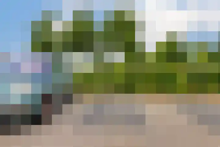Kruier 36 Assendelft thumbnail 26