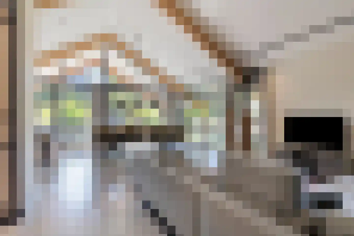 Kruigenstraat 12 B Veghel thumbnail 17